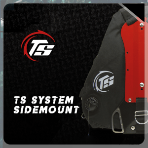 TS System