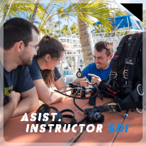 ASIST. INSTRUCTOR SDI
