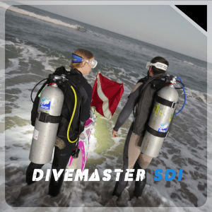 SDI Divemaster