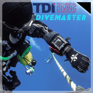 TDI Divemaster