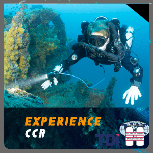 REBREATHER EXPERIENCE